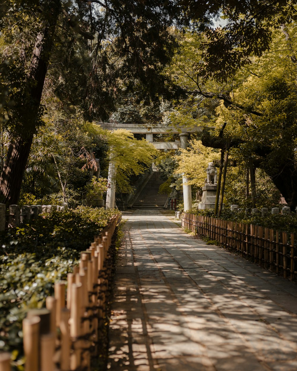 a path in a park lined with trees and bushes