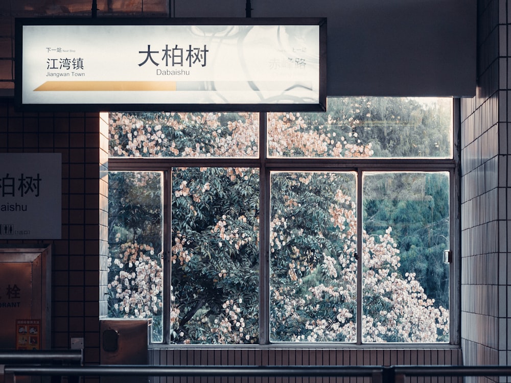 a window with a view of a tree outside