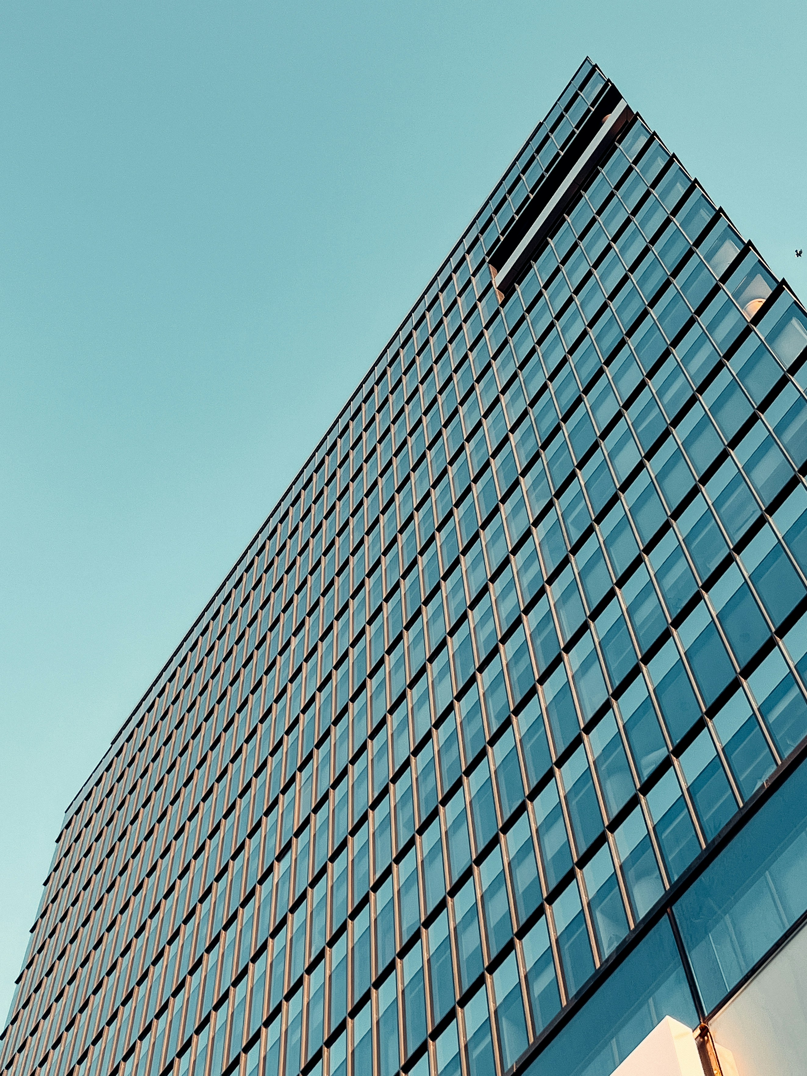 Photo by andreitudoran