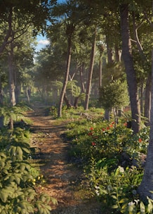 A peaceful forest path surrounded by lush green trees under soft sunlight.