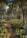 A serene forest path surrounded by lush green trees under soft sunlight.