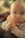 A baby with large, curious blue eyes is looking directly at the camera. The child has blonde hair and is wearing a striped shirt and a colorful bib. The background is softly blurred, creating a warm and intimate atmosphere.