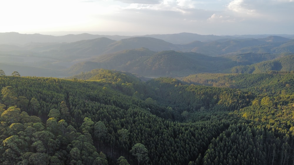 an aerial view of a forest with mountains in the background