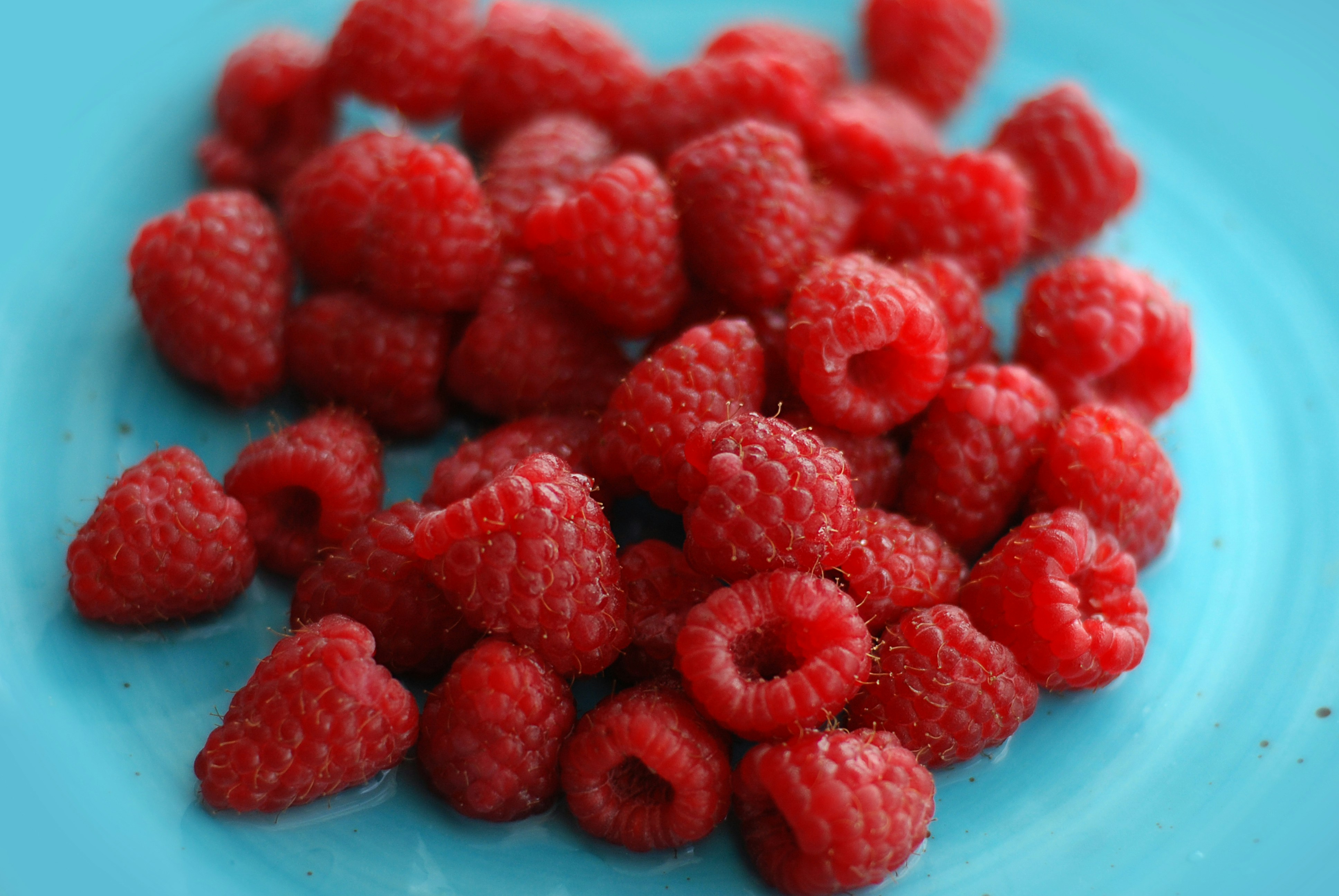 Photo by kovalskihelga