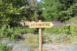 A wooden sign with the word 'Pépinière' points to the right, set amidst a lush green garden with a variety of plants and purple flowers in the background. The setting is outdoors with natural sunlight casting shadows on the foliage.