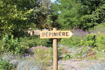 A wooden sign with the word 'P&eacute;pini&egrave;re' points to the right, set amidst a lush green garden with a variety of plants and purple flowers in the background. The setting is outdoors with natural sunlight casting shadows on the foliage.