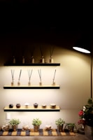 A minimalist display features three shelves mounted on a wall under dim lighting. The top two shelves hold a series of decorative reed diffusers in glass bottles with black sticks. The lower shelf showcases small jars and pots. At the bottom, potted plants and jars filled with stones are neatly arranged on a striped mat. A focused light illuminates the setup, enhancing the cozy and organized ambiance.