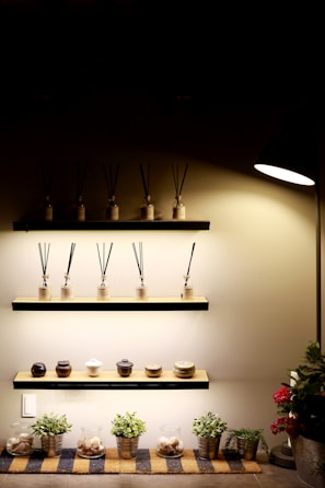 A minimalist display features three shelves mounted on a wall under dim lighting. The top two shelves hold a series of decorative reed diffusers in glass bottles with black sticks. The lower shelf showcases small jars and pots. At the bottom, potted plants and jars filled with stones are neatly arranged on a striped mat. A focused light illuminates the setup, enhancing the cozy and organized ambiance.