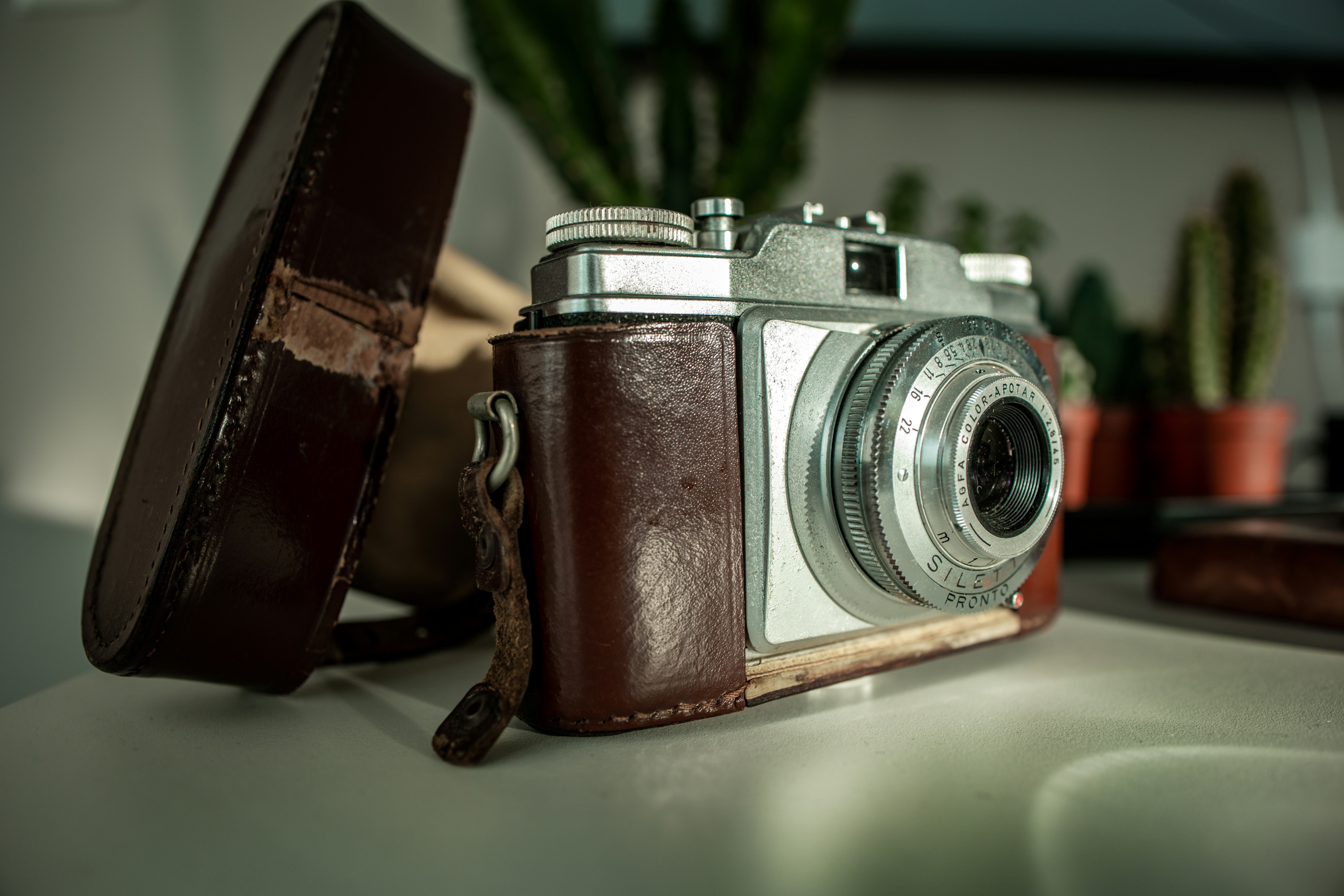 Photo by bahar_ghiasi