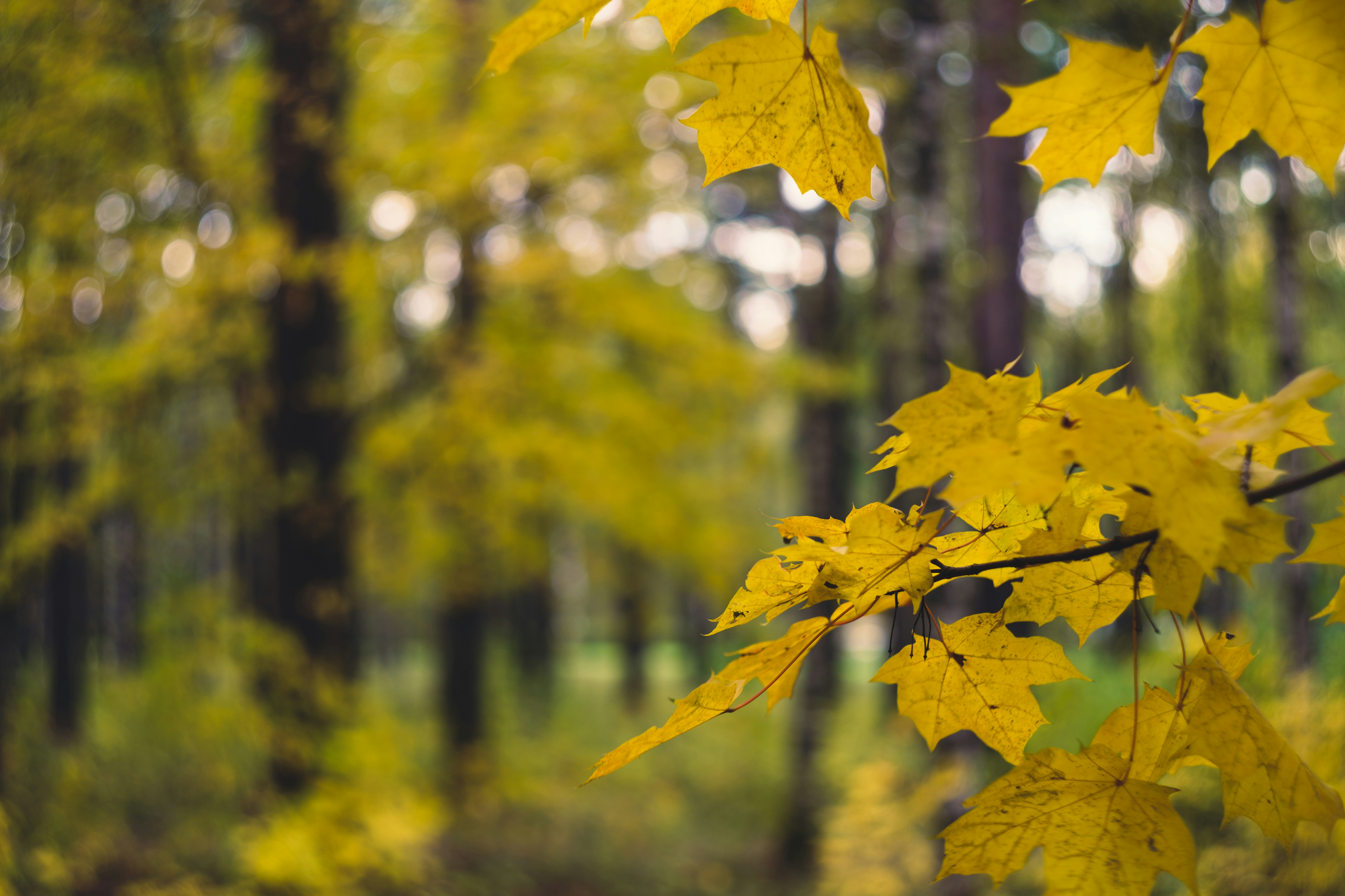 Photo by mirrors_are_more_fun