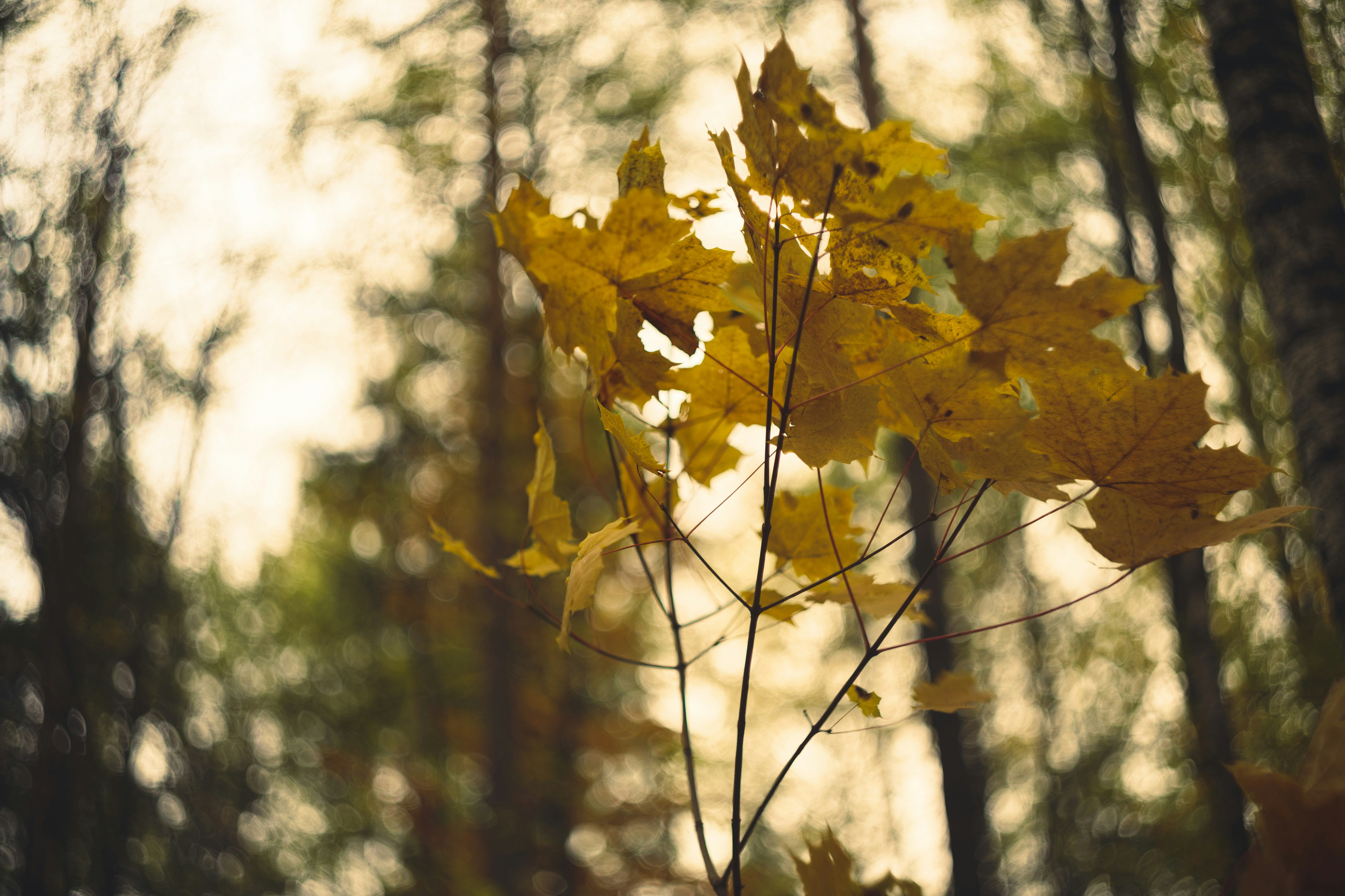 Photo by mirrors_are_more_fun