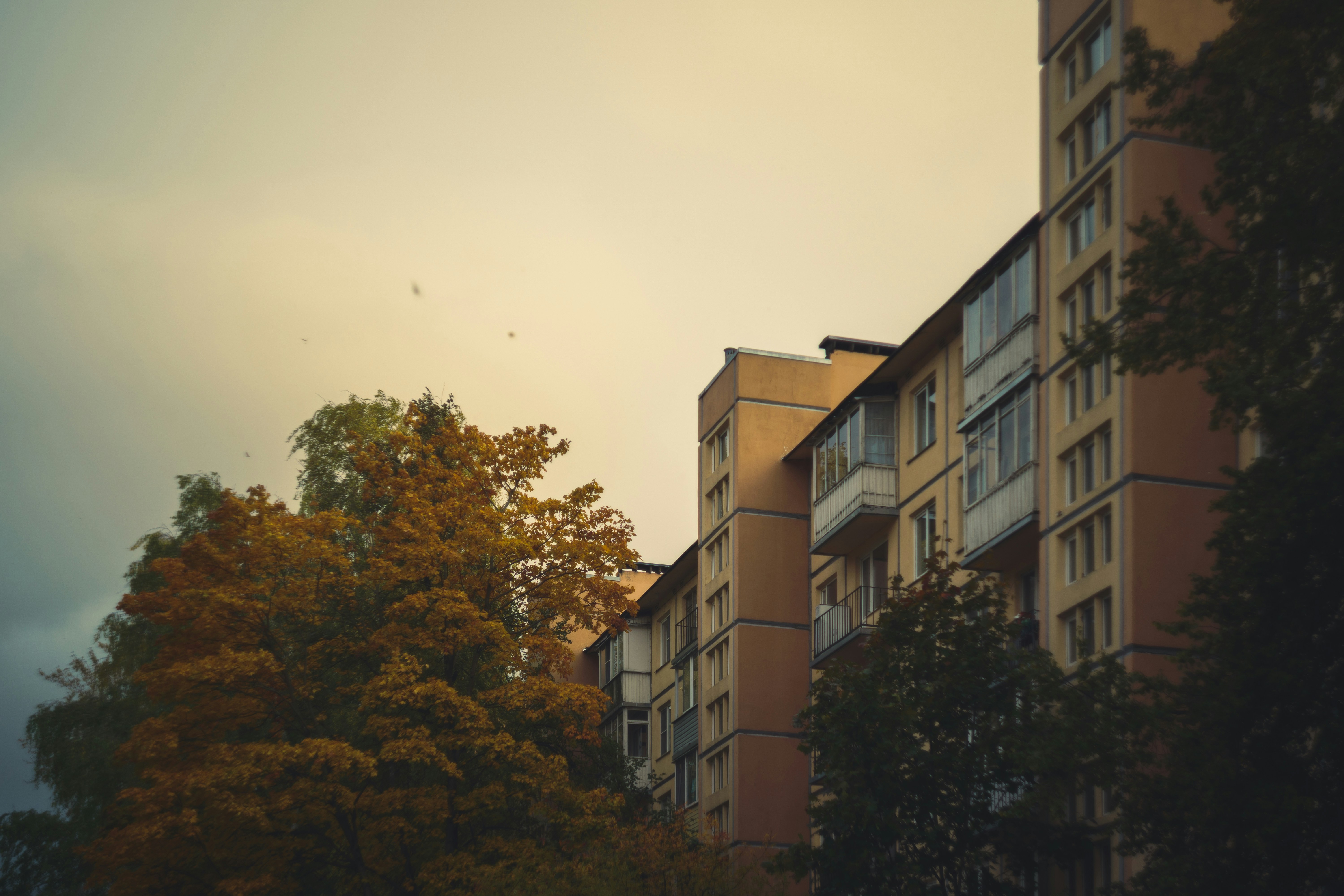 Photo by mirrors_are_more_fun