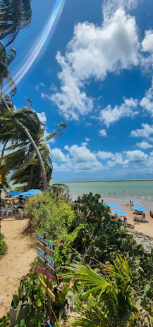 A scenic beachfront with clear blue skies and scattered fluffy clouds. The azure ocean is dotted with people enjoying the water. Palm trees sway gently in the breeze, and vibrant green vegetation is abundant. Brightly colored beach umbrellas provide shade to people relaxing on the sandy shore. A wooden signpost with multiple signs points towards various directions.