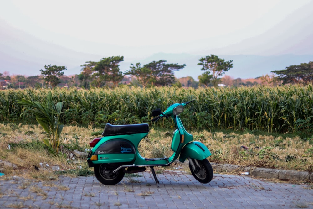 a scooter parked on a brick road in front of a cornfield