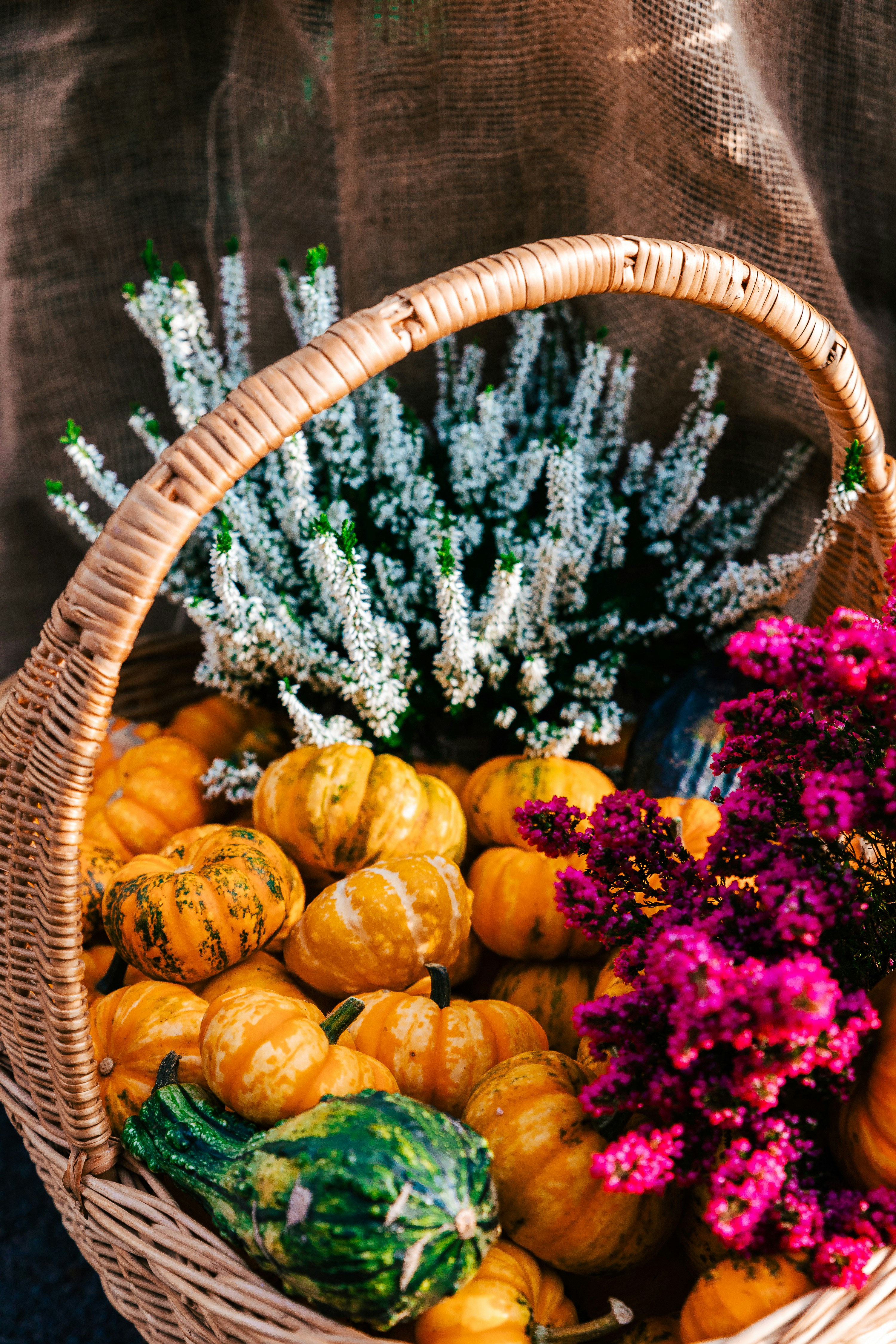 ein Korb gefüllt mit vielen verschiedenen Blumensorten