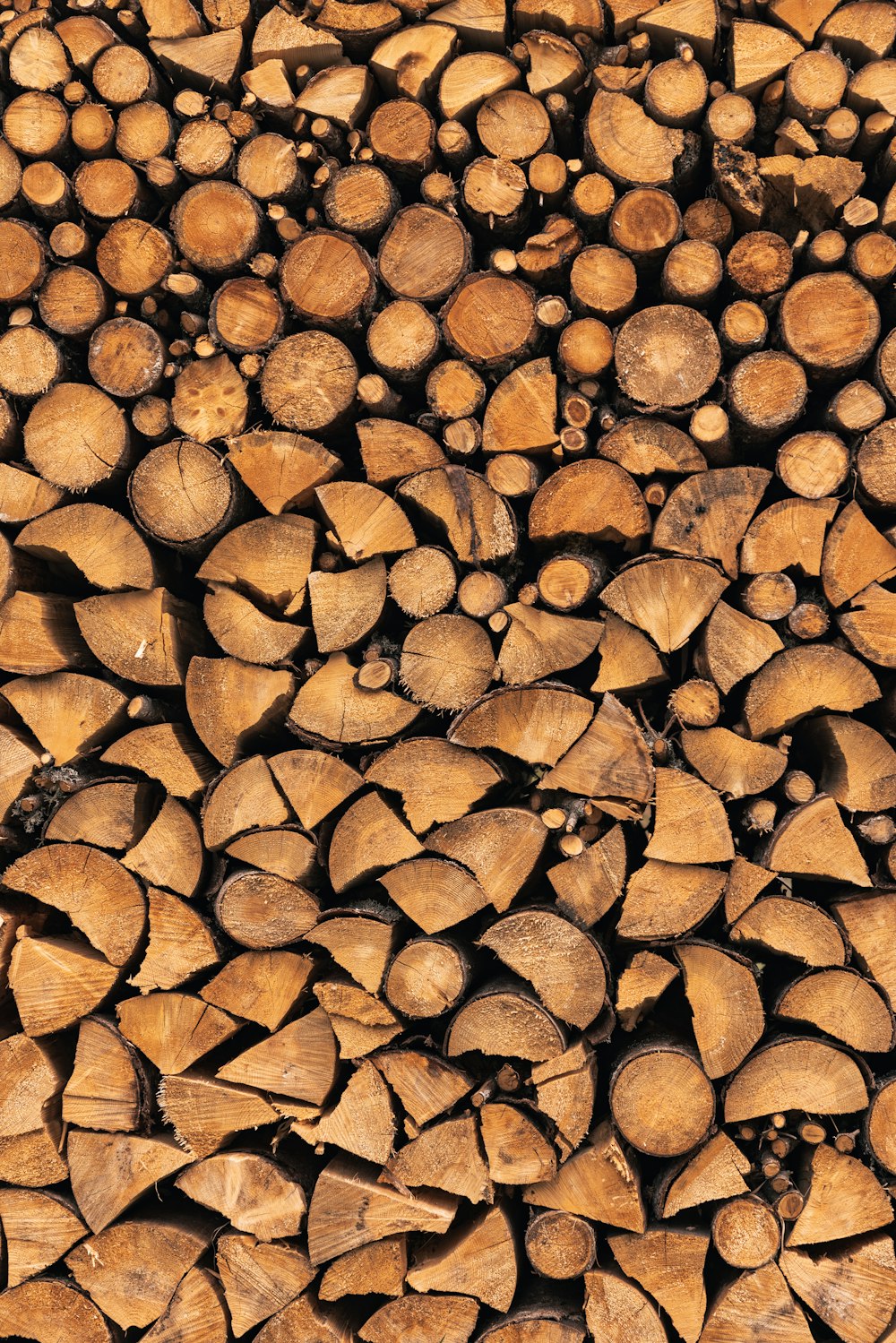 a pile of cut logs stacked on top of each other