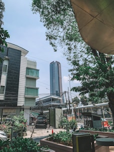 A tall modern skyscraper rises in the background, surrounded by mid-rise buildings and lush green trees. The foreground features a gated property with various plants and a few parked cars. The sky is clear, and the architecture is contemporary with clean lines.