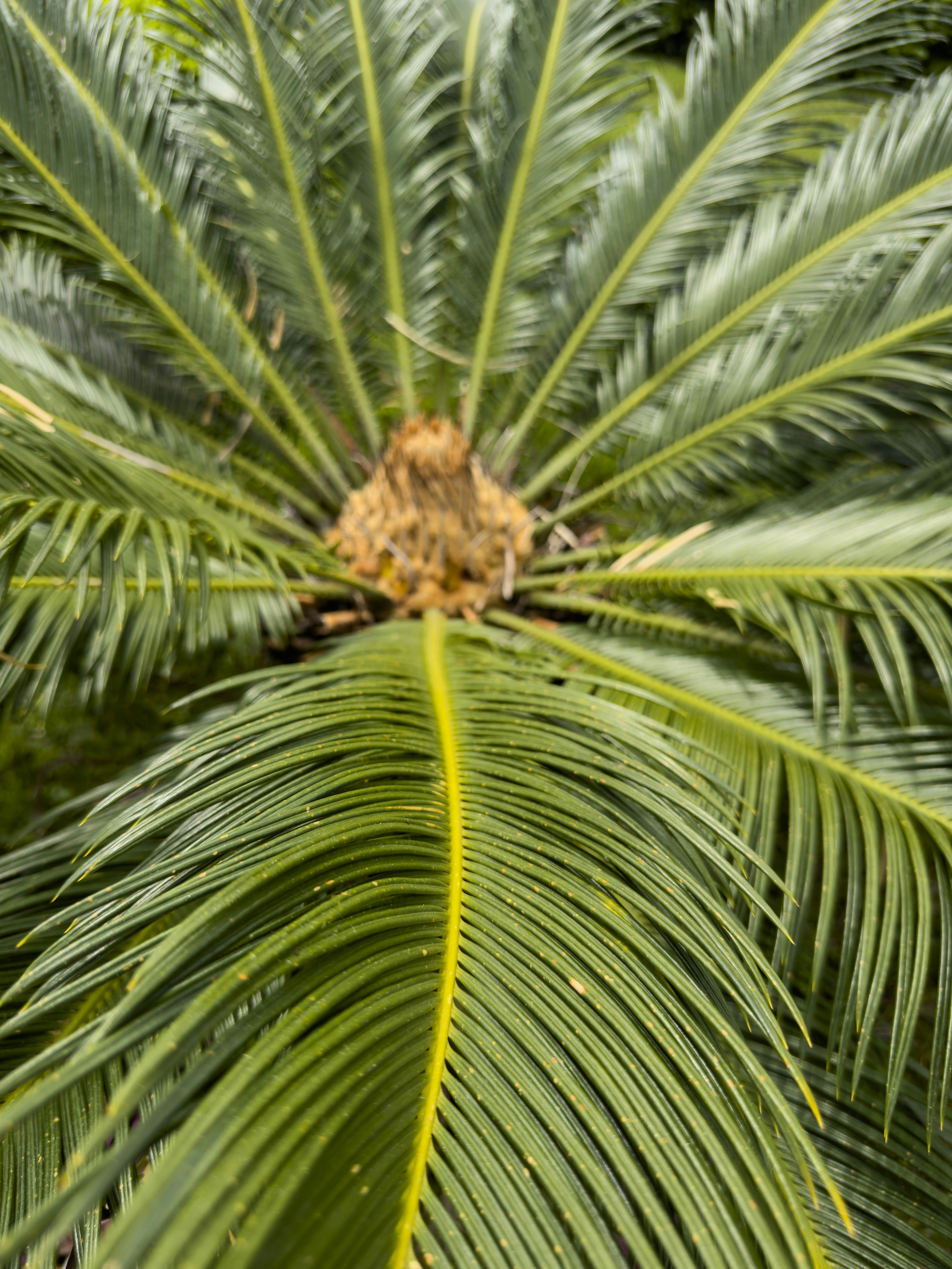 Photo by enginakyurt