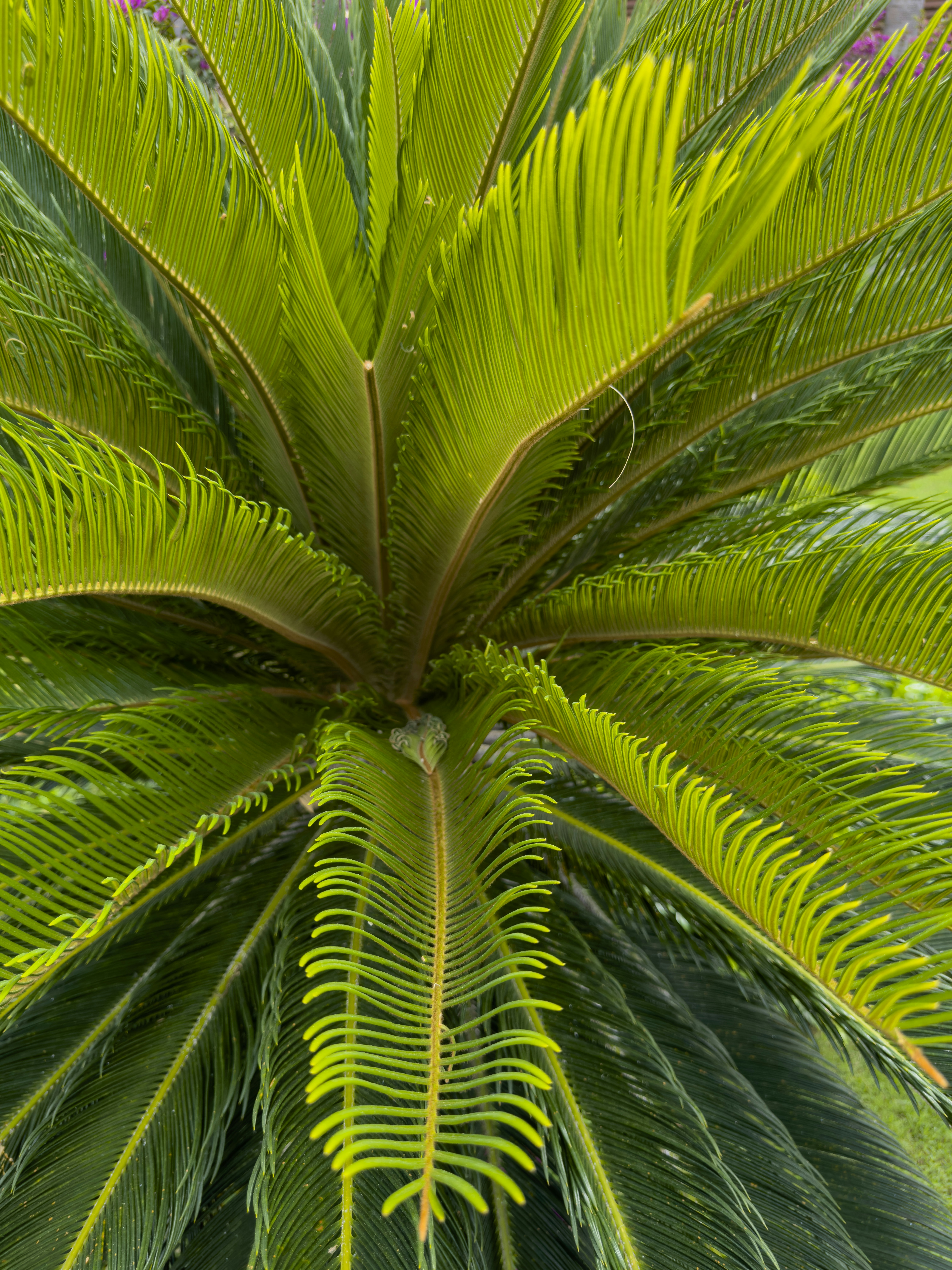 Photo by enginakyurt