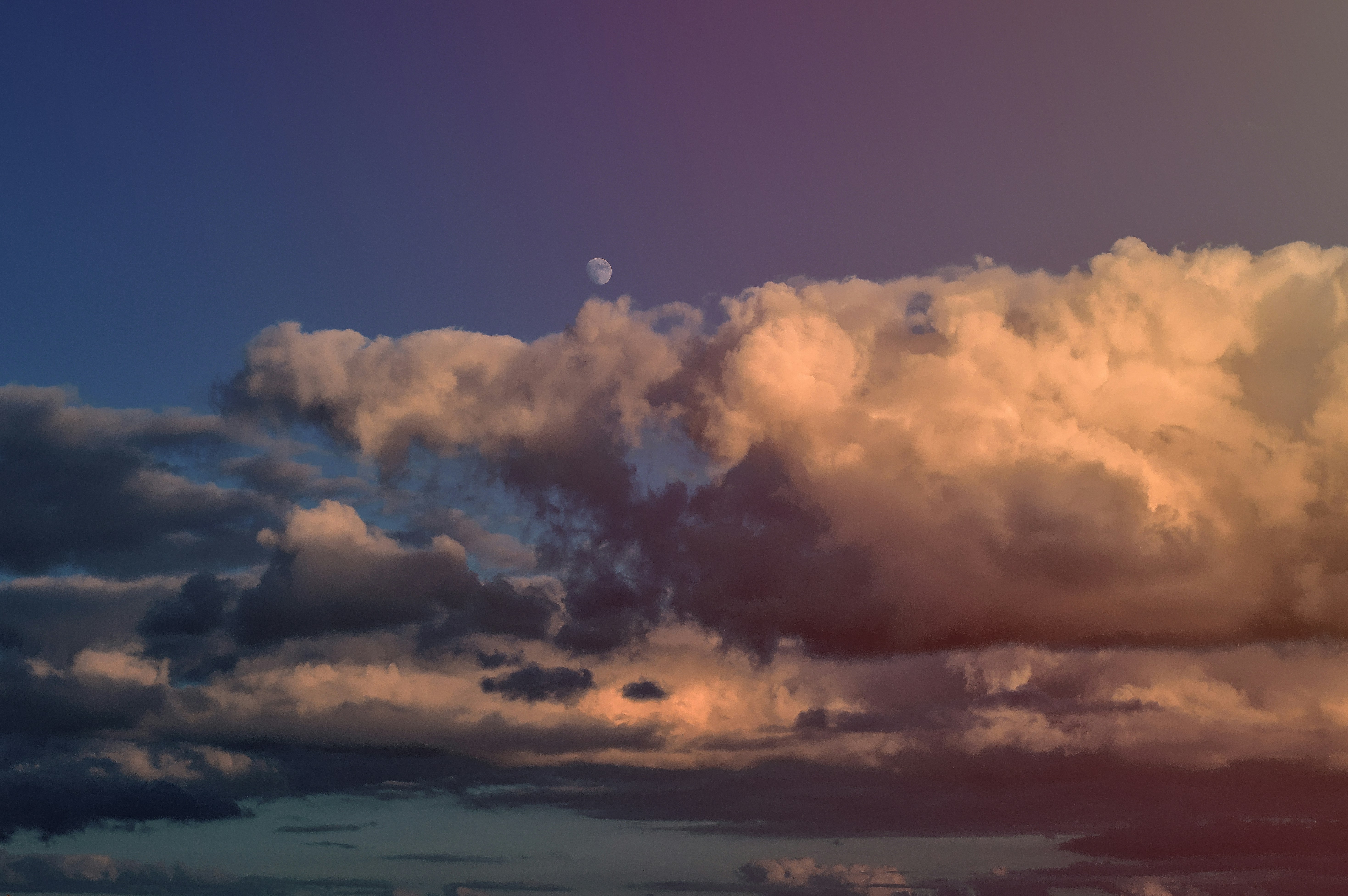 photo-1697634990306-cb75397d097c?ixid=M3wxMjA3fDB8MXxzZWFyY2h8MTZ8fGZhbnRhc3RpY3xlbnwwfHx8fDE3NjU3MzkwOTh8MA\u0026ixlib=rb-4.1.0