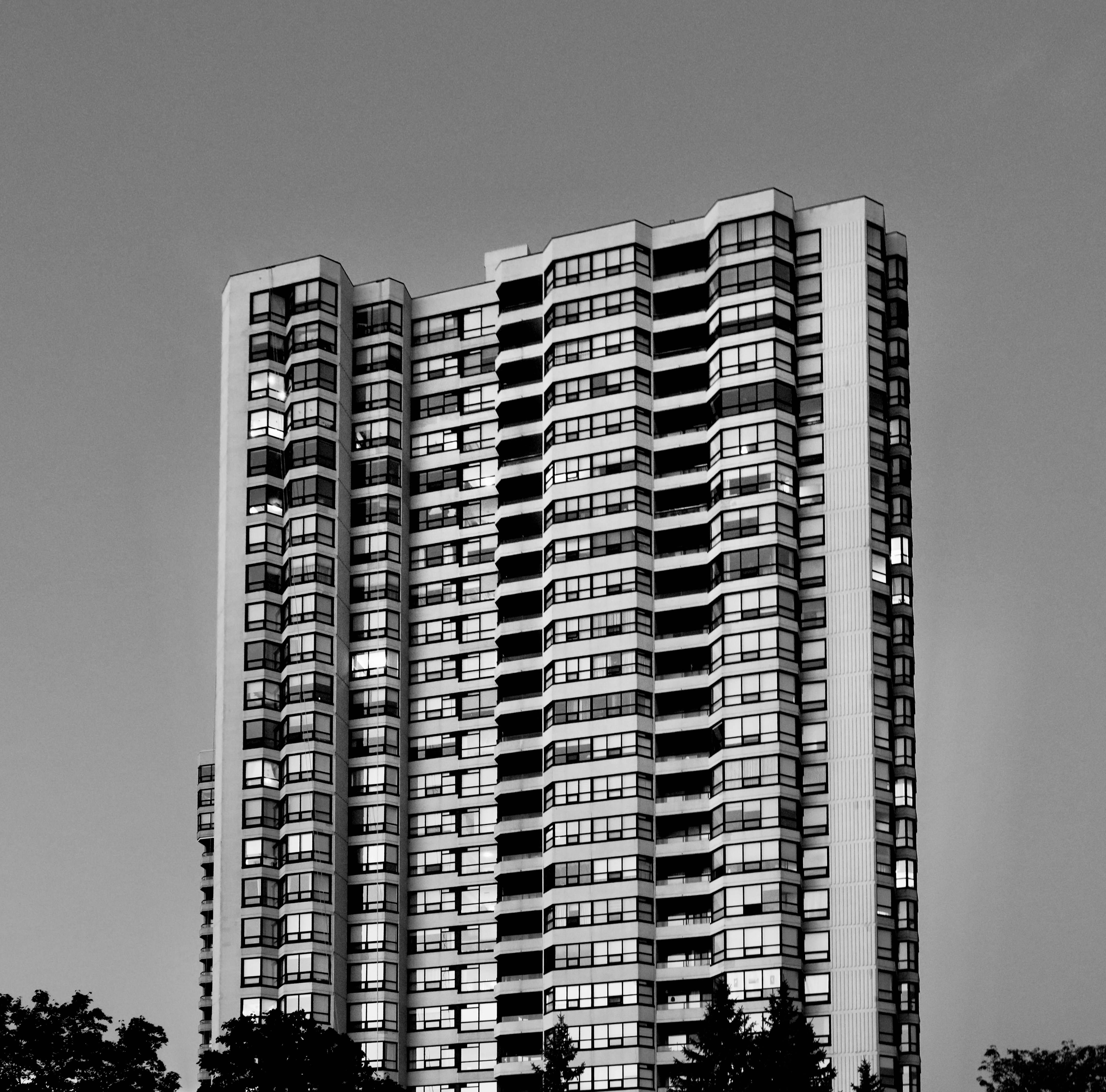 Photo by bhaskara999