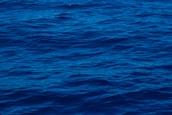 Deep blue ocean waves gently ripple across the surface, creating a textured pattern under the reflection of natural light. The water appears calm but slightly dynamic, suggesting subtle movement.