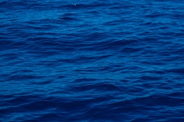 Deep blue ocean waves gently ripple across the surface, creating a textured pattern under the reflection of natural light. The water appears calm but slightly dynamic, suggesting subtle movement.