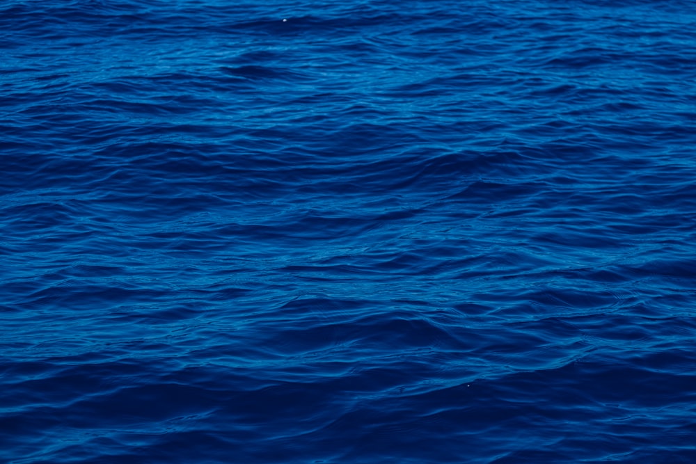 a large body of water with a boat in the distance