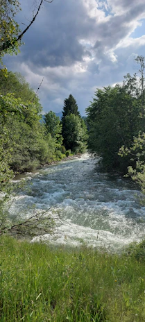 Researchers setting up equipment beside a flowing river under a cloudy sky.