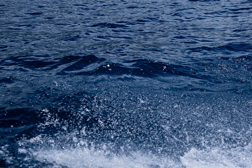 una persona montando una tabla de surf en un cuerpo de agua