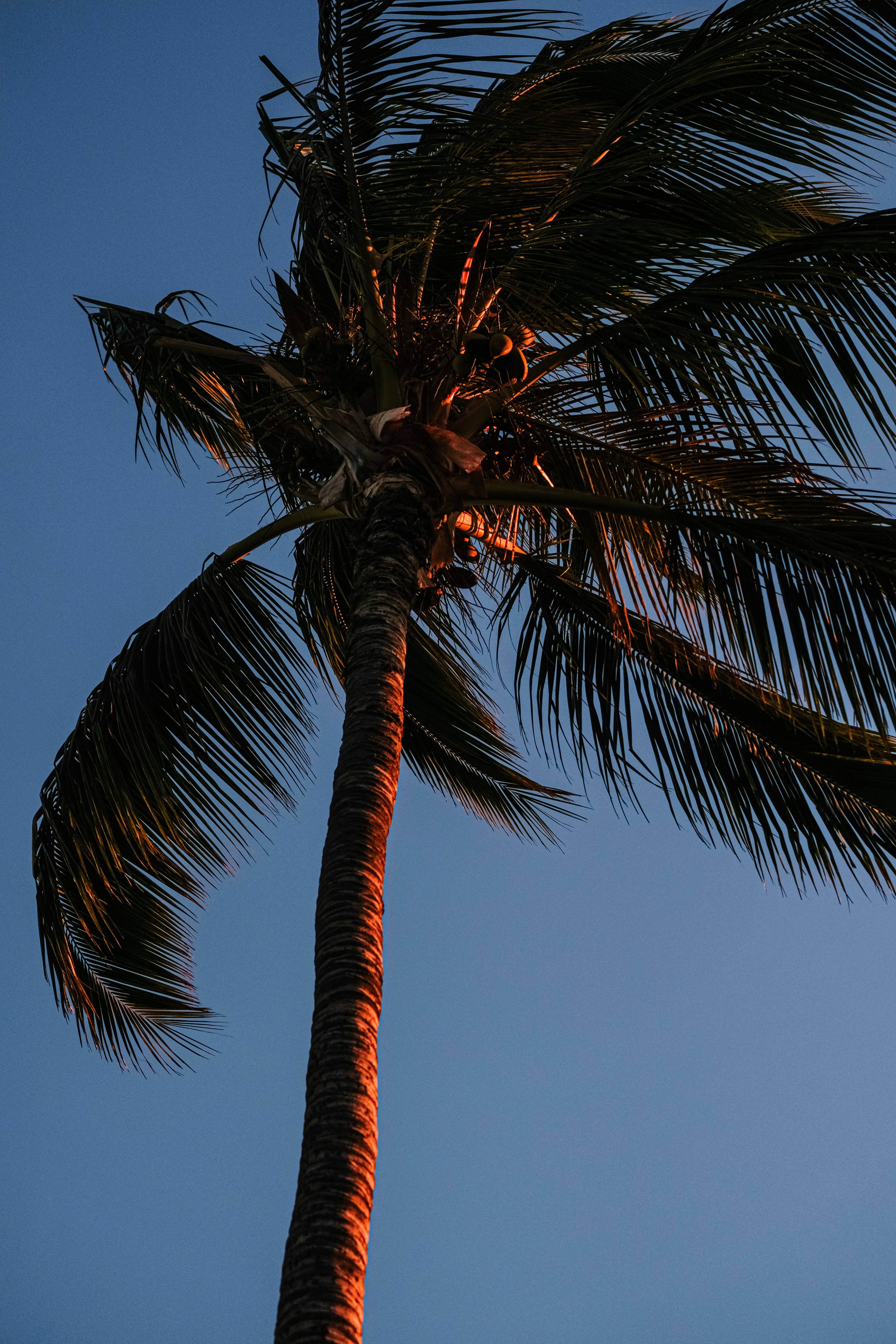 Photo by cestmoisheedy