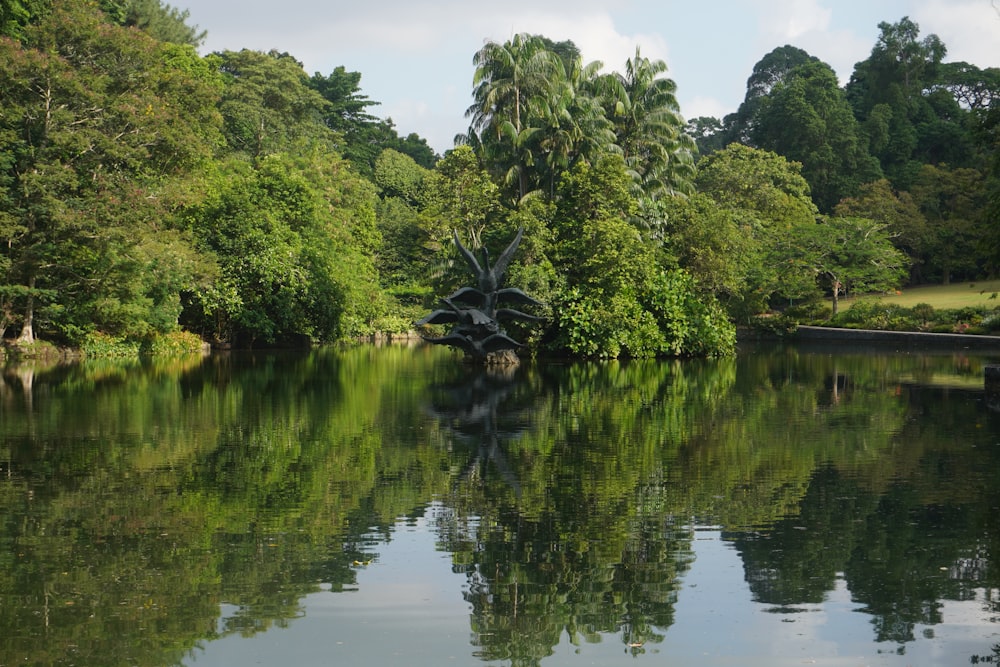 a body of water surrounded by trees and grass