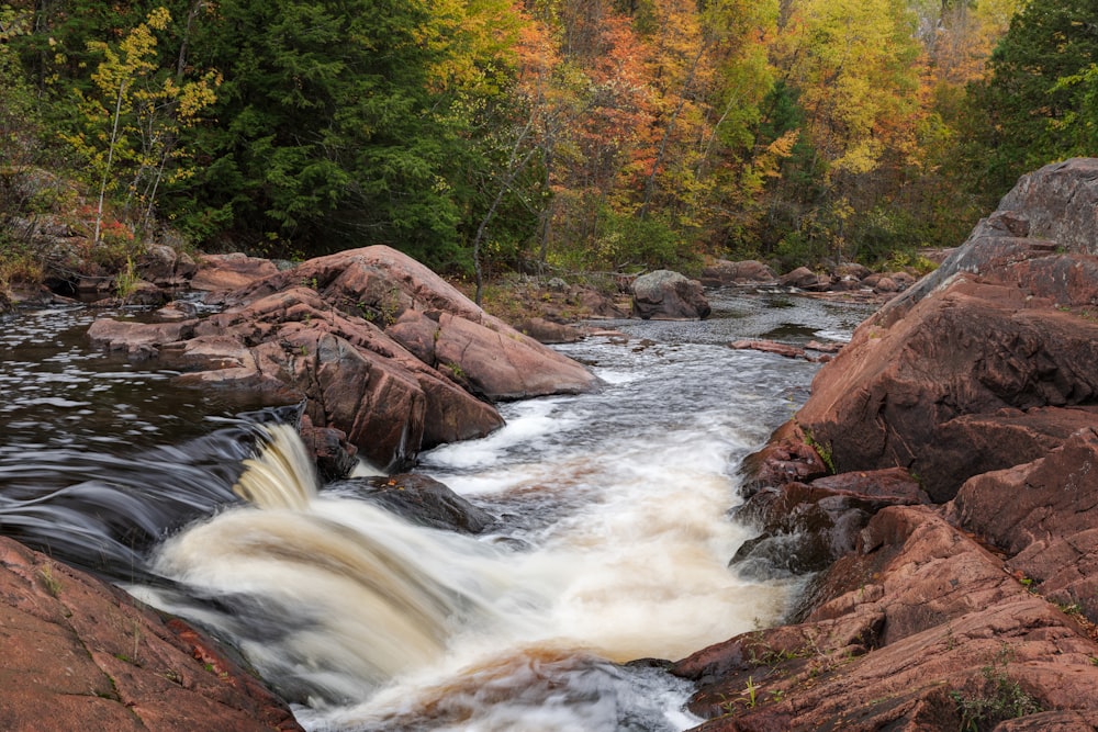 a river running through a lush green forest