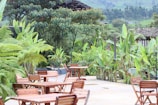 An outdoor patio with several wooden tables and chairs surrounded by lush green tropical plants and trees. The setting appears tranquil with a backdrop of hills and dense greenery, creating a natural atmosphere.
