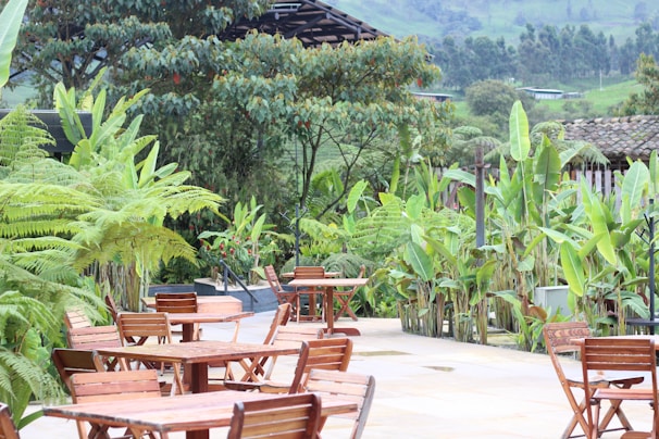 Outdoor patio with tables and greenery for relaxation.