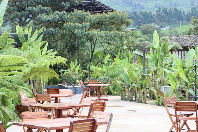 An outdoor patio with several wooden tables and chairs surrounded by lush green tropical plants and trees. The setting appears tranquil with a backdrop of hills and dense greenery, creating a natural atmosphere.