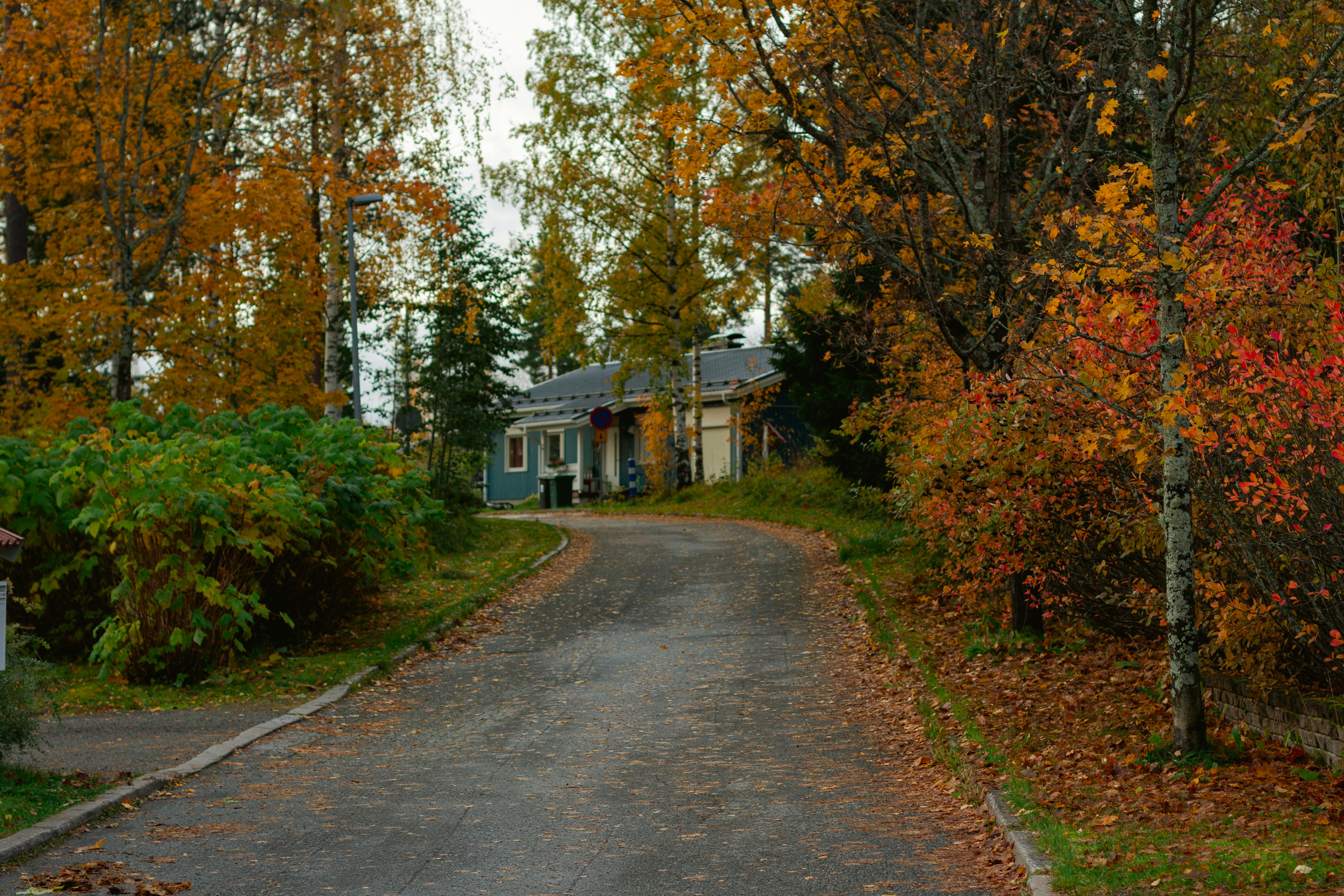 季節の変化を楽しむ｜ミニマルでも季節感のある暮らし関連画像