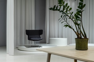 Ergonomic Study Chair