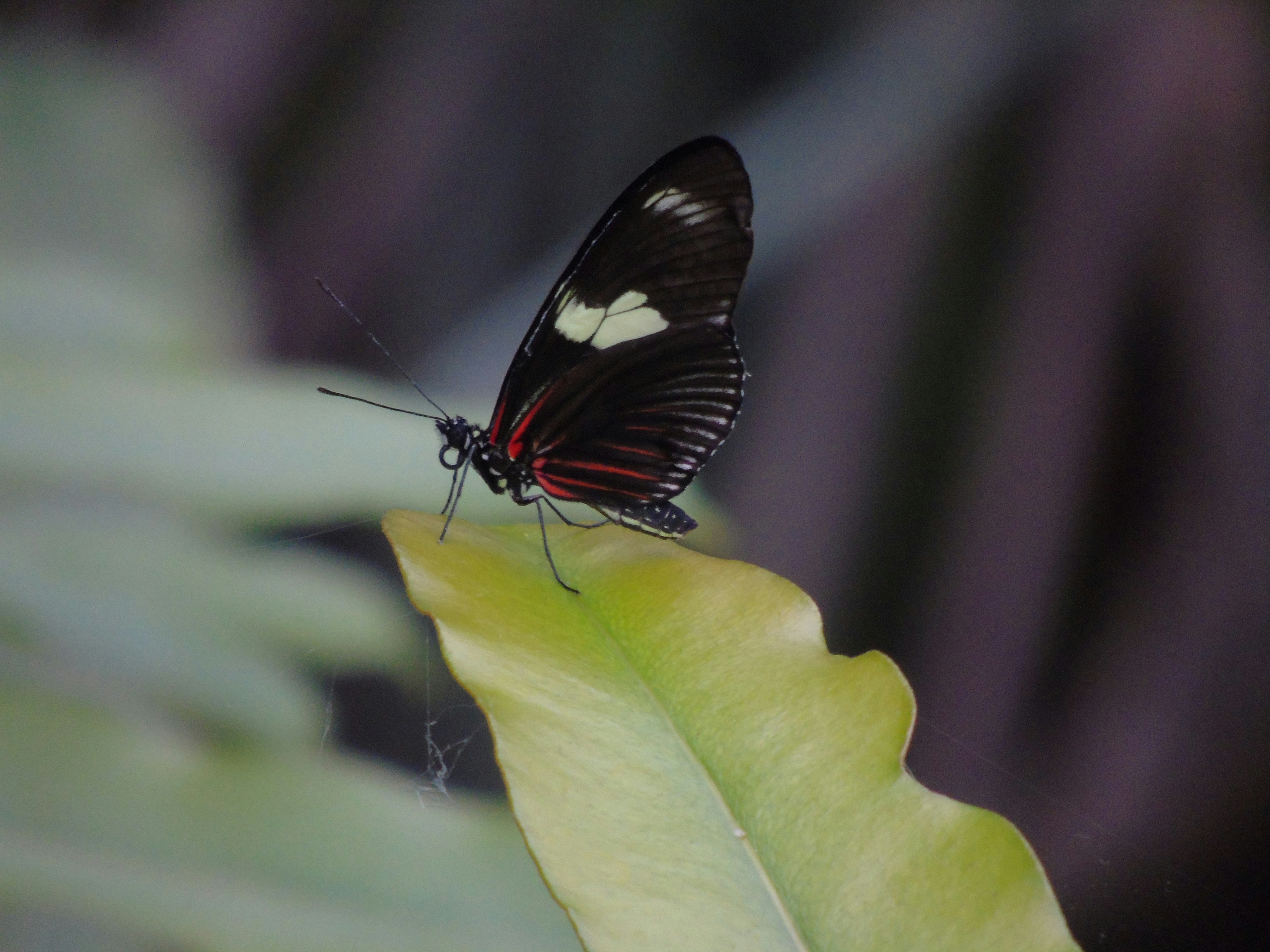 Photo by ejanssen_23