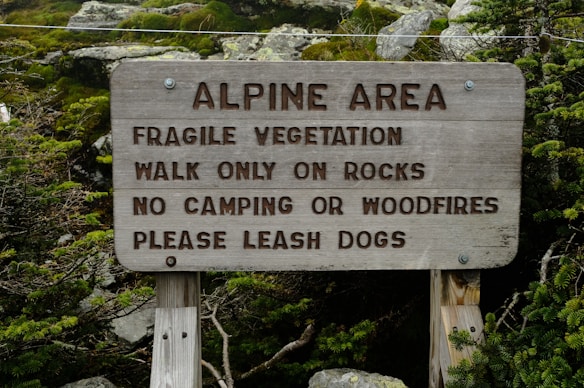 A wooden sign is displayed in a natural setting, surrounded by greenery and rocks. The text on the sign provides guidance for preserving the area, stating rules such as walking only on rocks, no camping or wood fires, and leashing dogs.