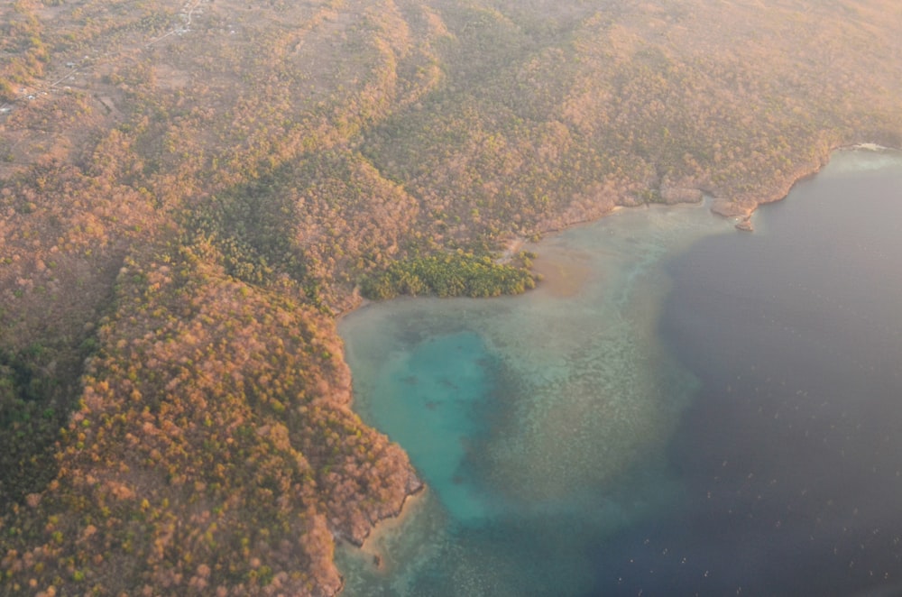 a large body of water surrounded by trees