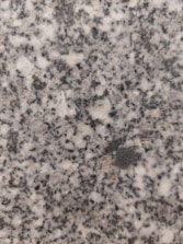 Close-up of polished granite countertop with natural veining.