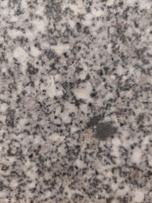 A close-up view of polished granite with a speckled pattern. The surface displays a mix of gray, white, black, and hints of pinkish tones, typical of natural stone with irregularly shaped dots and spots.