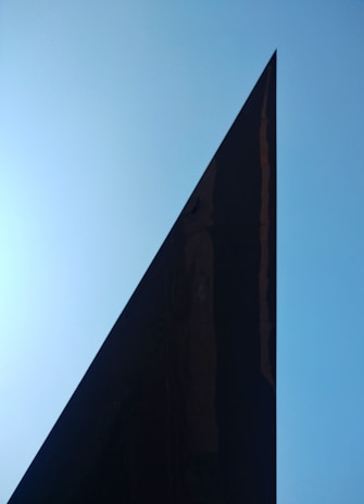 An artistic shot featuring contrasting black shapes on a light blue background.