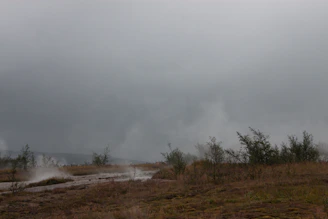 Misty morning view of the Yellowstone Grand Canyon with steam rising from hot springs nearby.