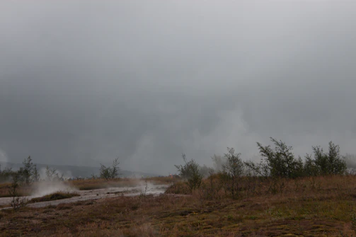 Misty morning view of the Yellowstone Grand Canyon with steam rising from hot springs nearby.