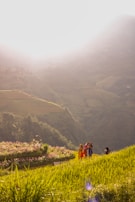 A scenic outdoor shoot featuring vibrant colors and natural light in an Indian village.