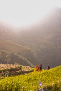 A scenic outdoor shoot featuring vibrant colors and natural light in an Indian village.