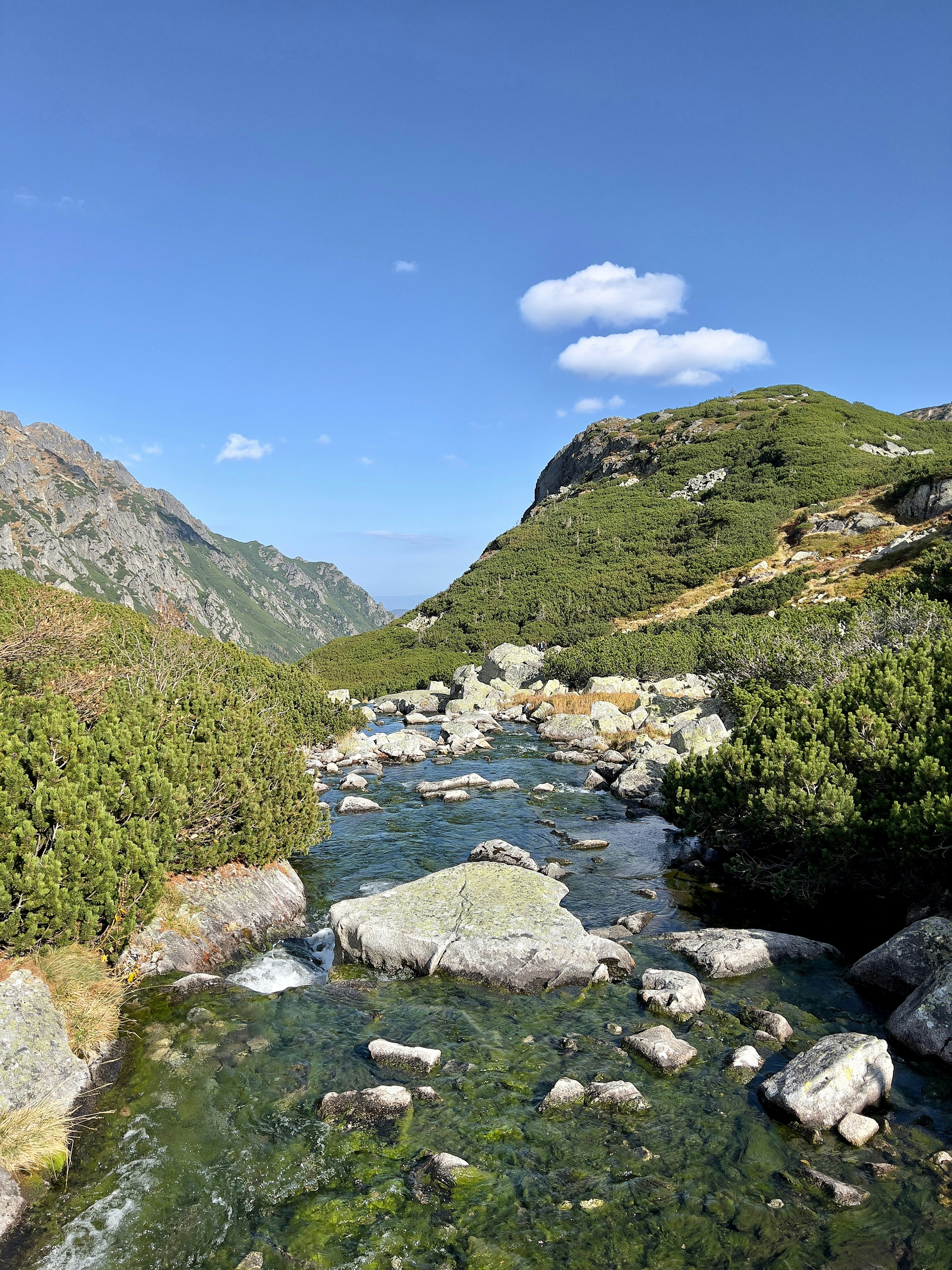 Photo by mrbrownstone87