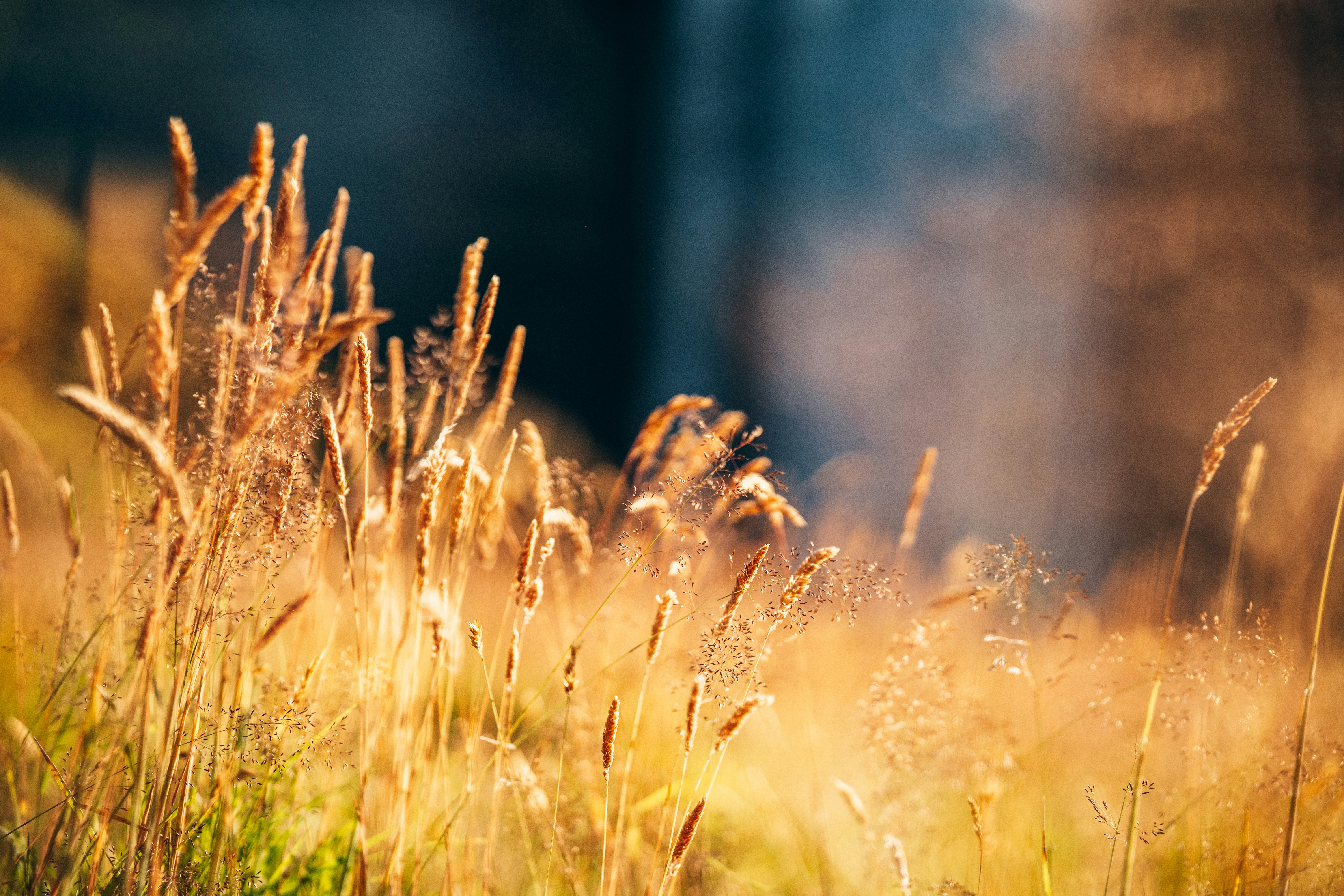 Photo by spensersembrat